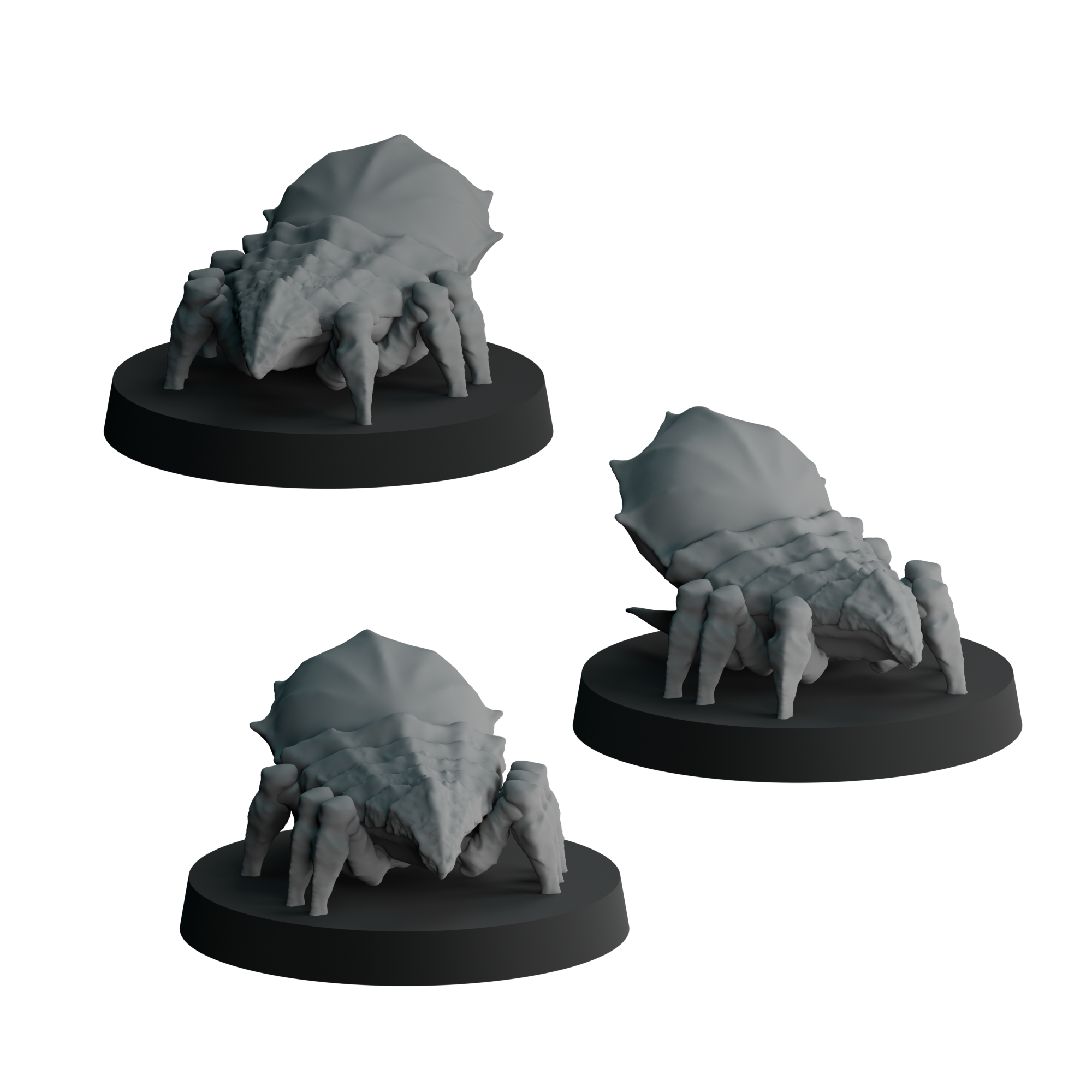 Corpuscular Lice